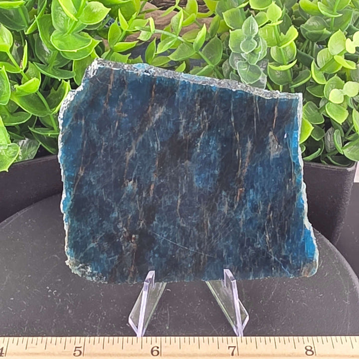 Polished Blue Apatite Slab