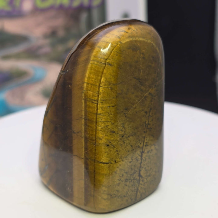 Polished Tiger's Eye freeform with shimmering golden chatoyancy, showcasing smooth textures and vibrant colors.
