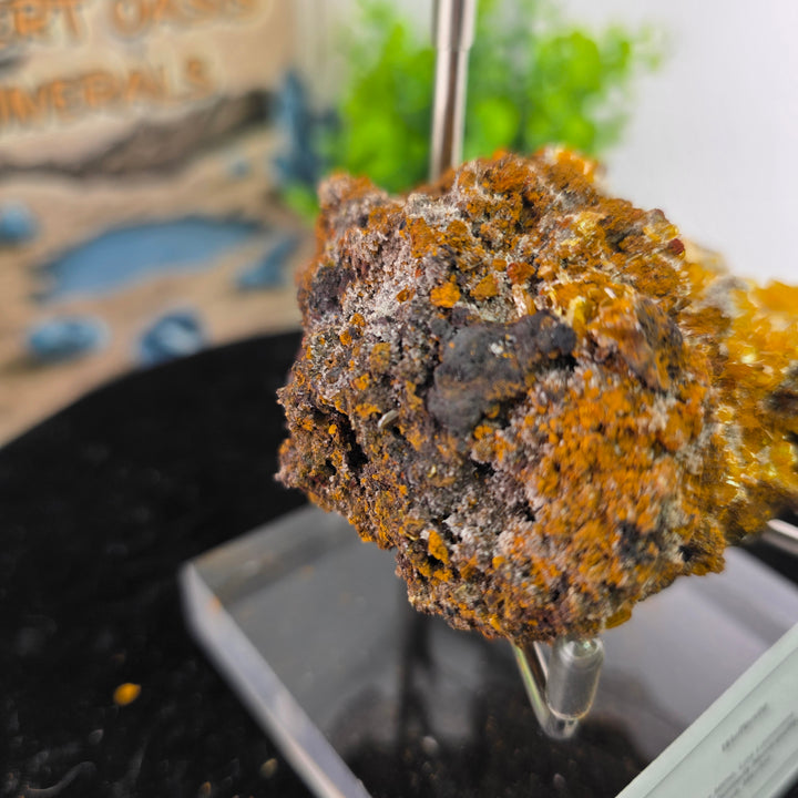 Vibrant Wulfenite specimen from Erupción-Ahumada Mine, Mexico, showcasing unique crystal formations.