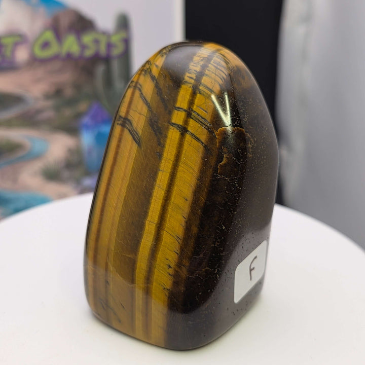 Polished Tiger's Eye freeform with stunning golden color and chatoyancy, showcasing shimmering bands.