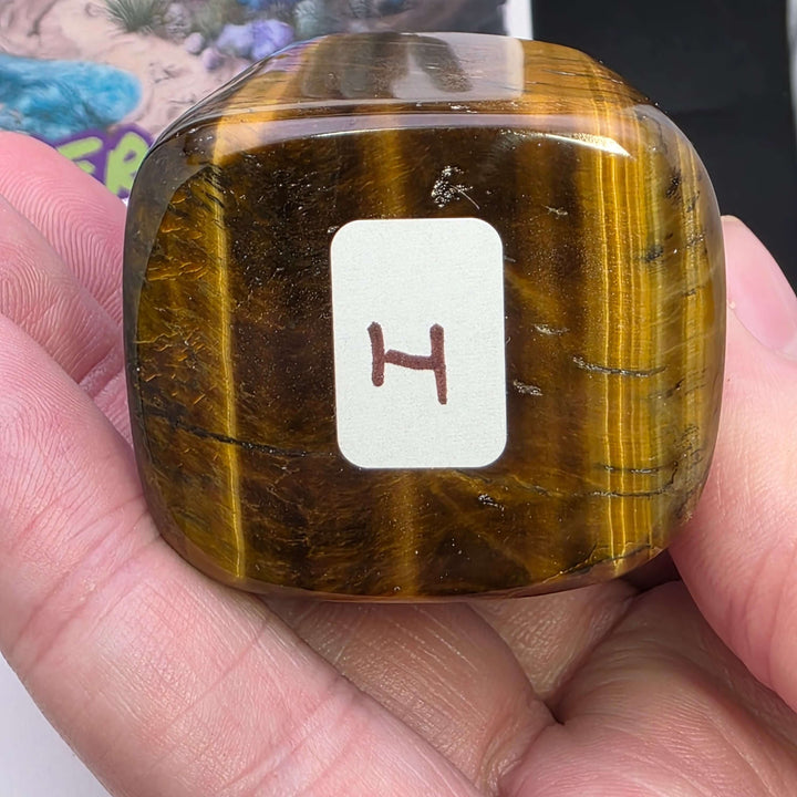 Polished Tiger's Eye freeform showcasing golden shimmer and chatoyancy in a hand-held view.