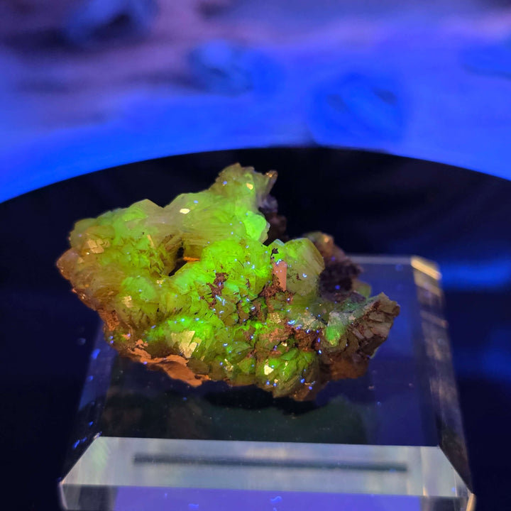 Vibrant Adamite Specimen from Ojuéla Mine exhibiting glowing green crystal formations.