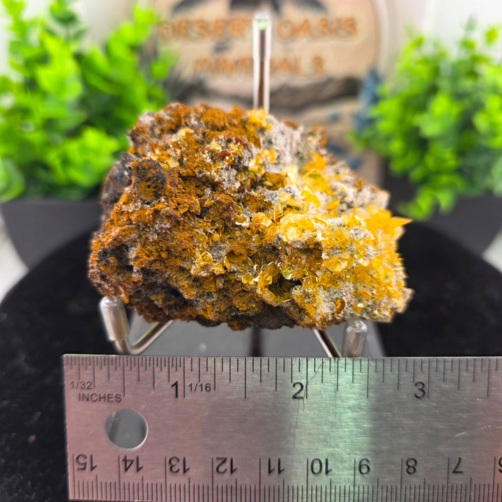 Vibrant Wulfenite specimen from Erupción-Ahumada Mine, showcasing classic tetragonal crystal habit.