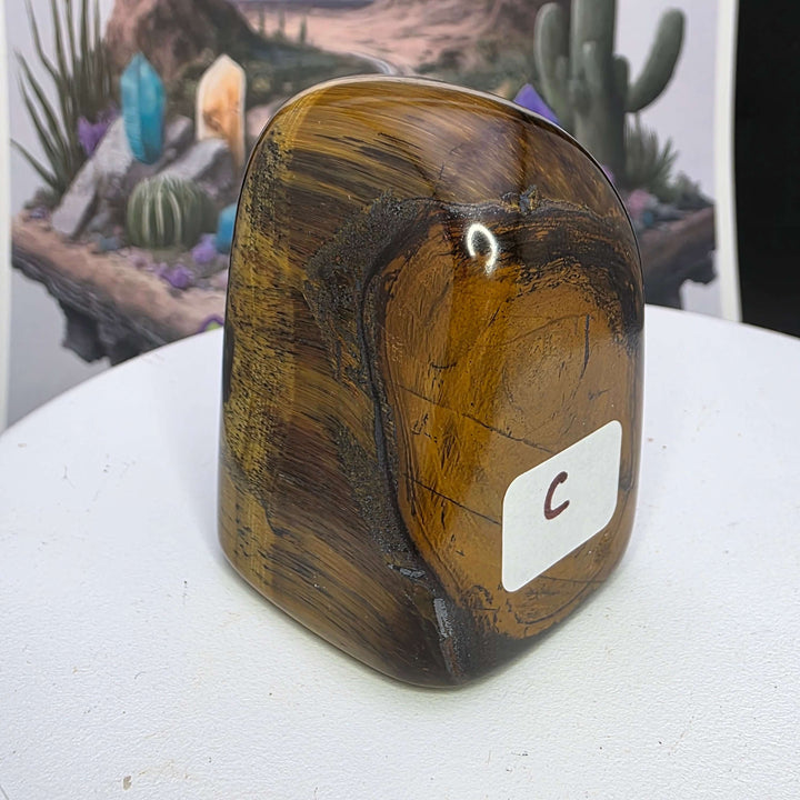 Polished Tiger's Eye freeform piece showcasing rich golden hues and chatoyancy, perfect for display or collection.