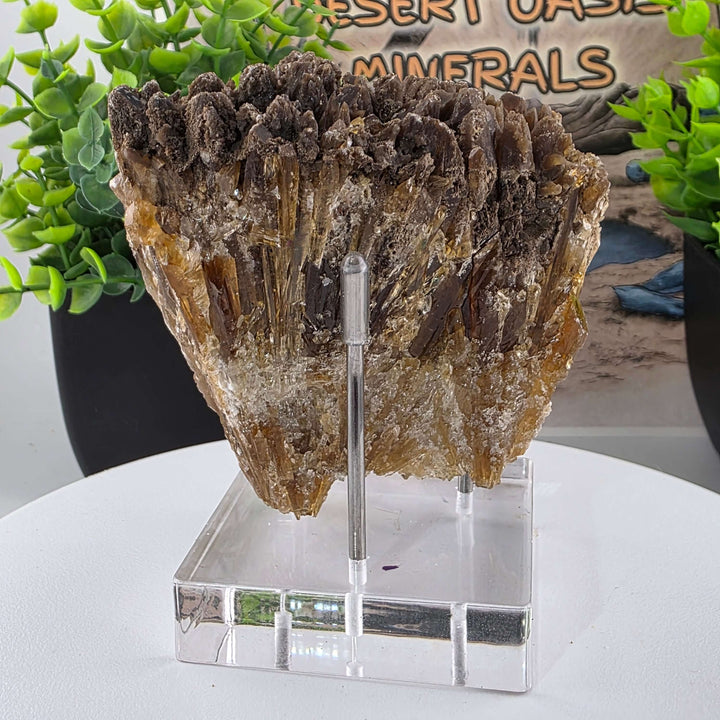 Amber Calcite - Guizhou, China