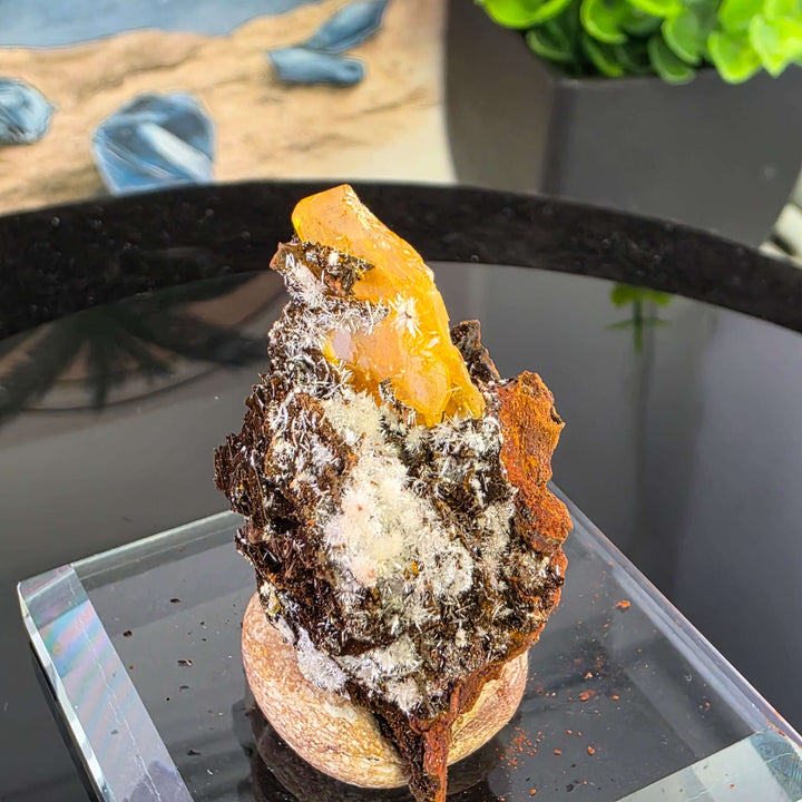 Wulfenite - Erupción-Ahumada Mine, Mexico