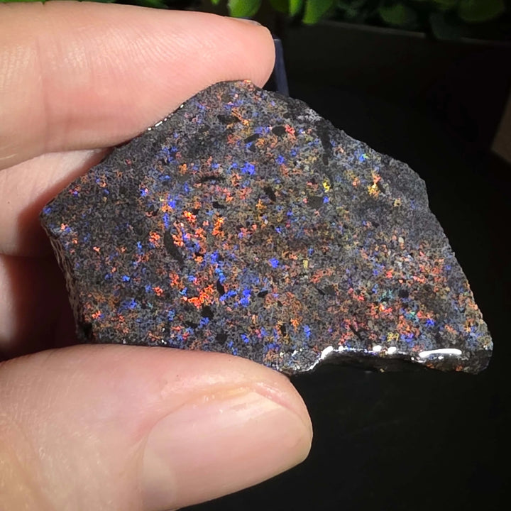 Andamooka Matrix Opal Slab Slice - 76 Carat