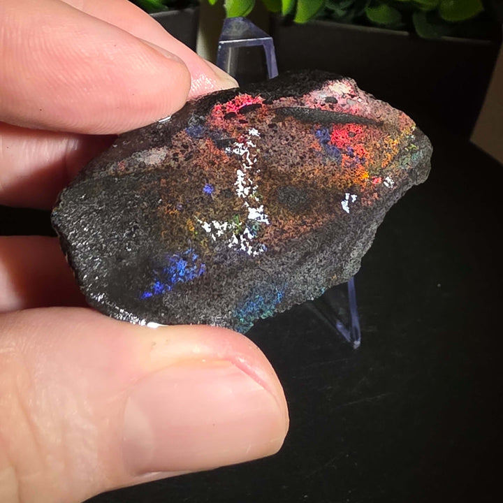 Andamooka Matrix Opal Slab Slice showcasing vibrant colors and natural matrix texture in wet condition