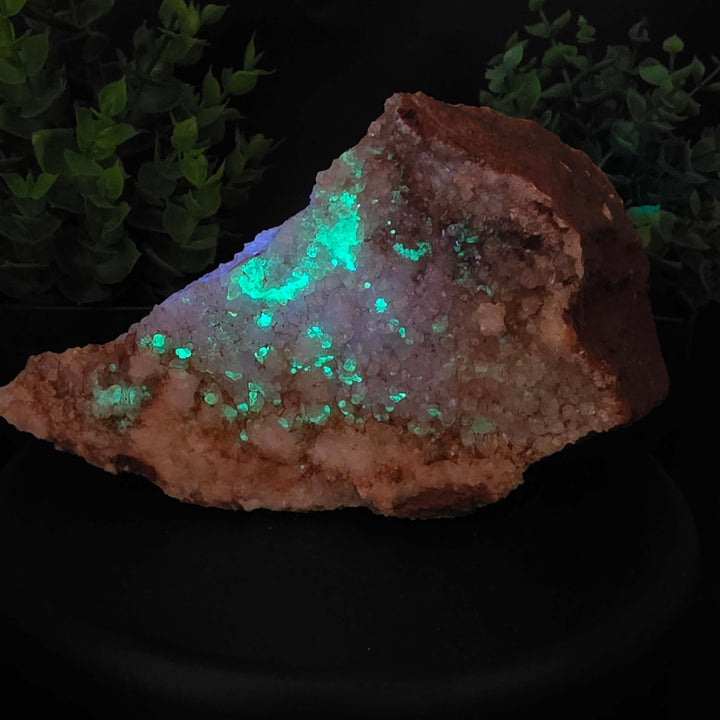 Red Hyalite Opal Specimen Mix from Ojuela Mine