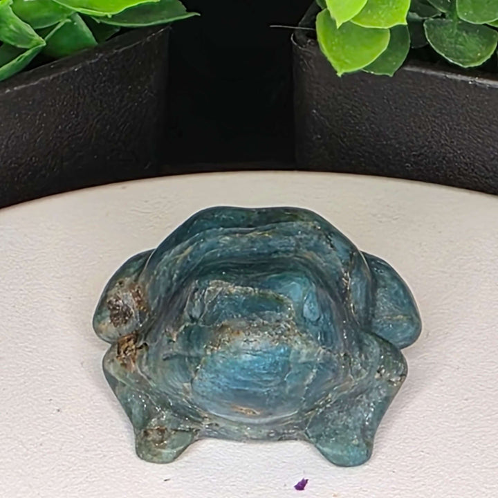 Natural blue apatite frog carving, vibrant color, unique character, decorative piece for desk or shelf.