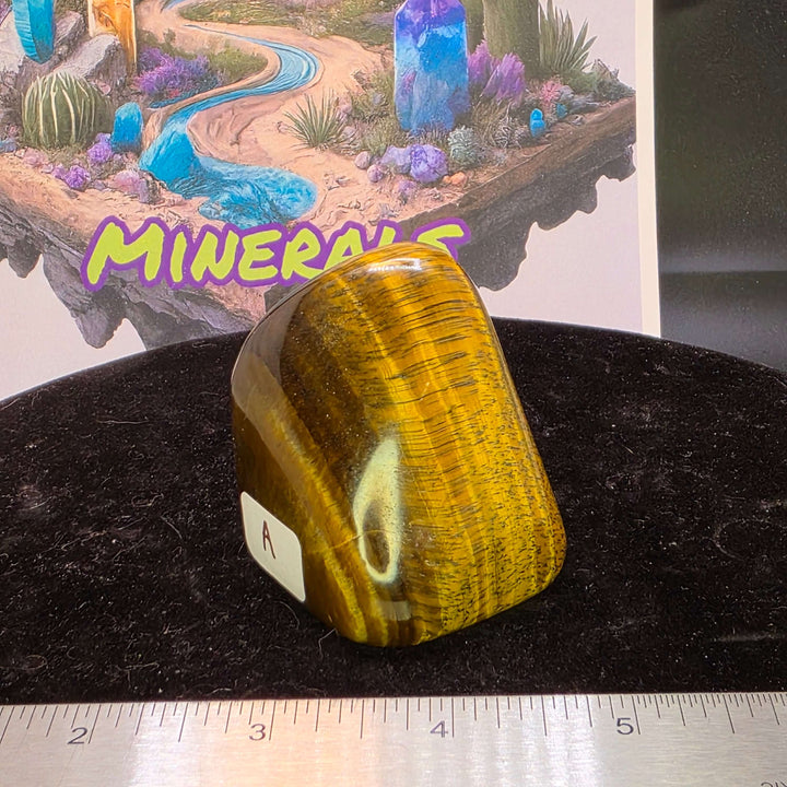 Polished Tiger's Eye freeform showing golden color and chatoyancy, set against a black background.