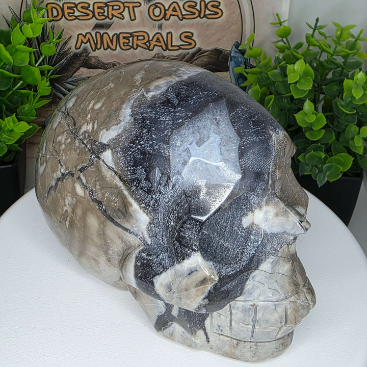 Volcano Agate Skull Carving - 4 inch
