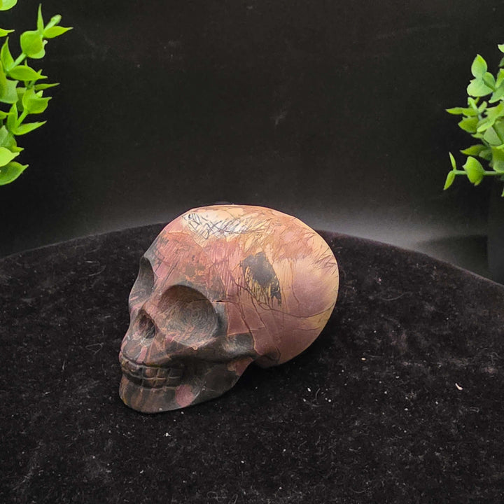 Cherry Creek Jasper skull carving - 2.5 Inch showcasing natural textures and earthy colors with unique patterns.