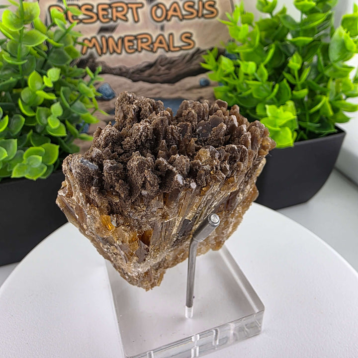 Amber Calcite - Guizhou, China