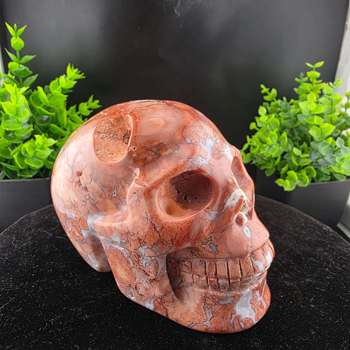 Cotton Candy Agate Skull Carving - 5in