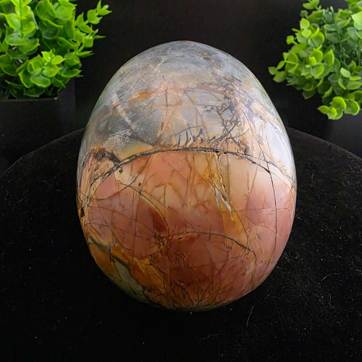 Cherry Creek Jasper Skull Carving - 4.5in