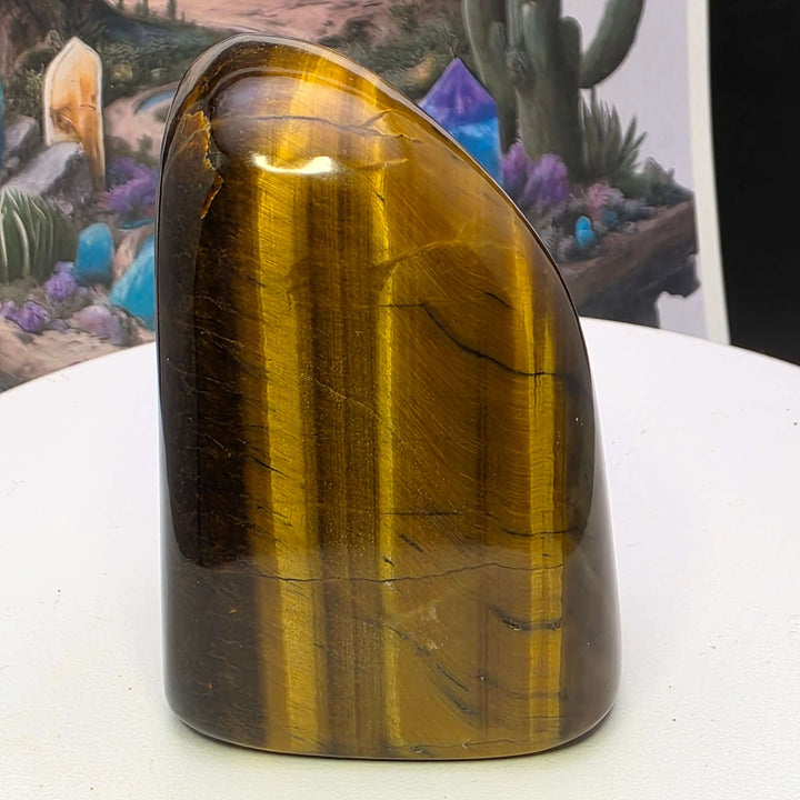 Polished Tiger's Eye freeform showcasing golden chatoyancy and smooth surface, perfect for display or collection.