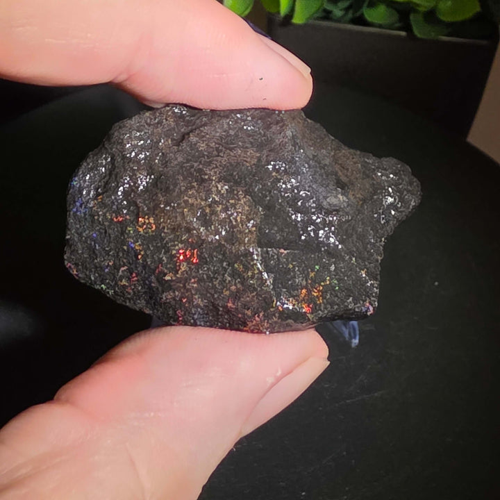 Andamooka Matrix Opal Slab Slice showcasing vibrant colors and natural matrix texture in wet condition