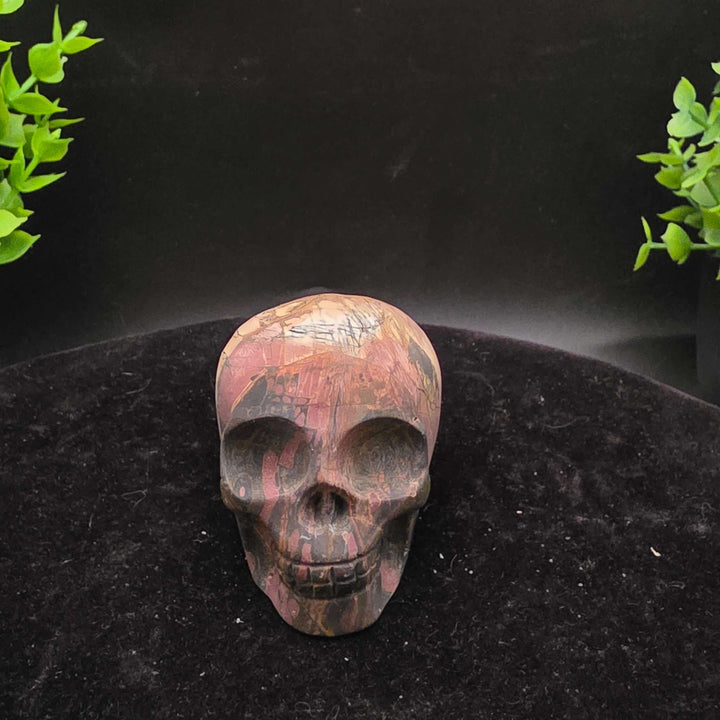 Cherry Creek Jasper skull carving - 2.5 Inch showcasing natural textures and earthy colors with unique patterns.