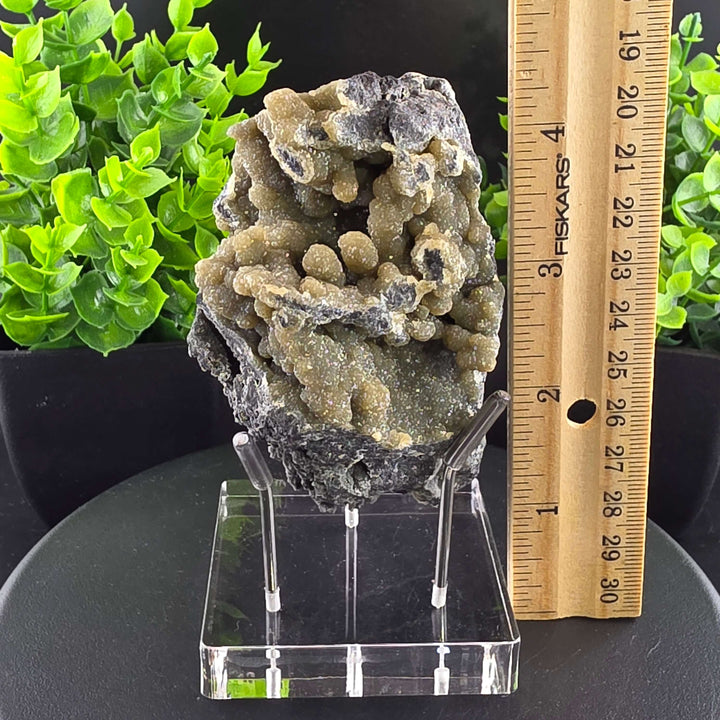 Smithsonite Specimen from Ojuela Mine