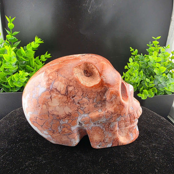 Cotton Candy Agate Skull Carving - 5in
