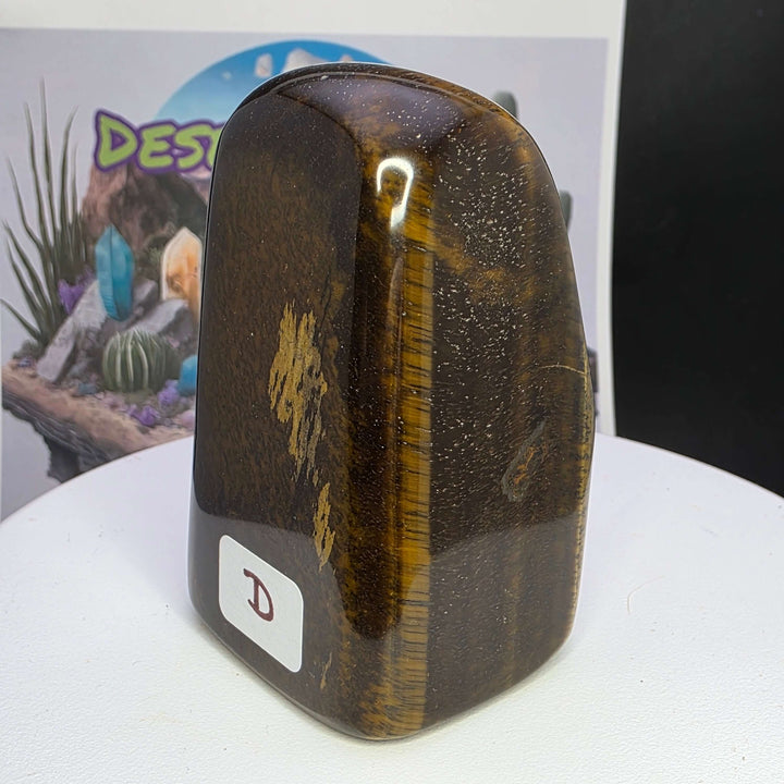 Polished Tiger's Eye freeform showcasing golden chatoyancy and smooth surface, perfect for collectors.