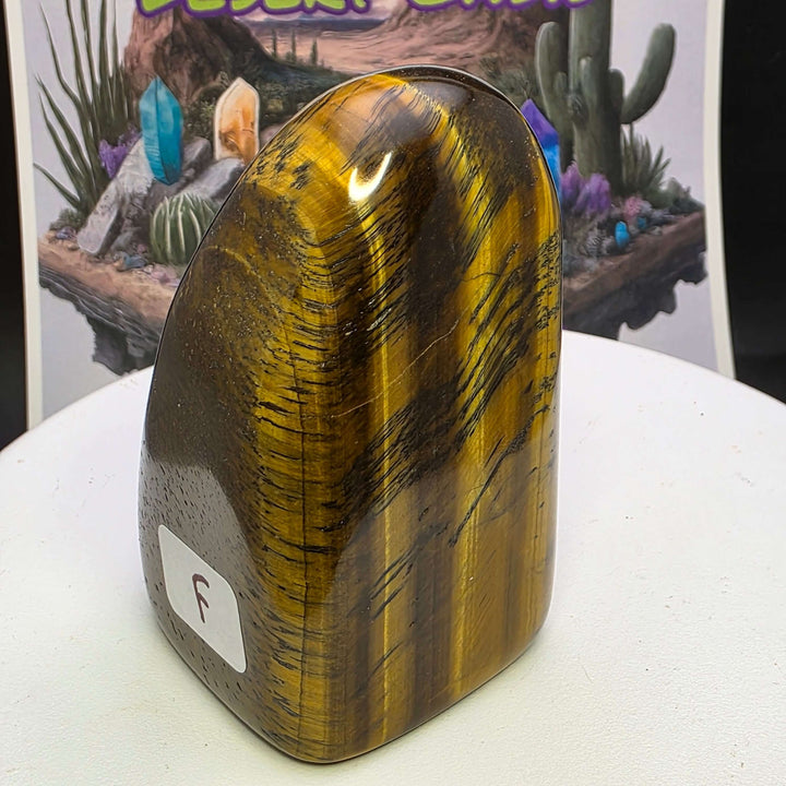 Polished Tiger's Eye freeform showcasing golden chatoyancy and smooth finish, ideal for decor or crystal collection.