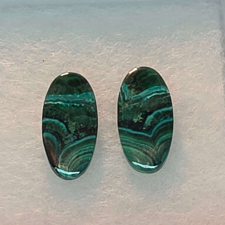 Bring the vibrant energy of nature into your home, or your next creative project, with our stunning Malachite Cabochon Pairs. Each pair features beautifully polished malachite, showcasing its unique swirling patterns, elegantly presented in a crisp white