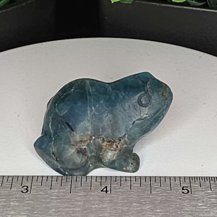 Natural blue apatite frog carving, vibrant color, unique character, decorative piece for desk or shelf.