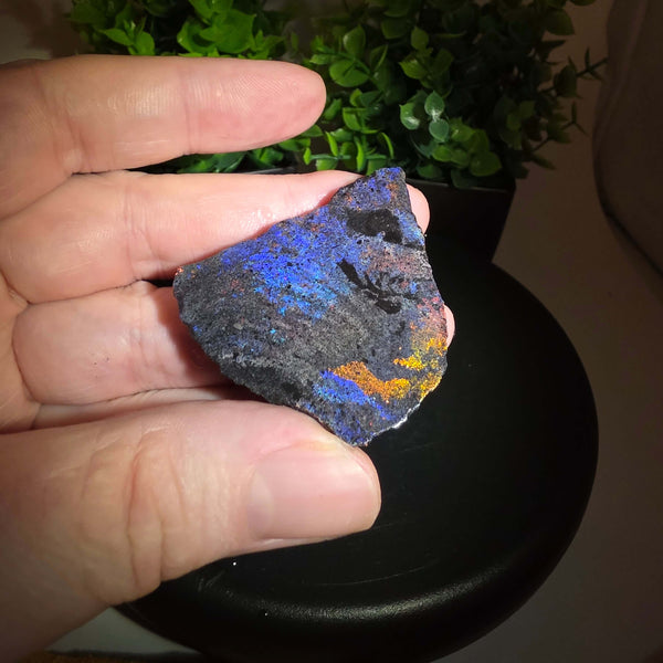 Person holding an Andamooka Matrix Opal Slab Slice showing vibrant colors against a green background.