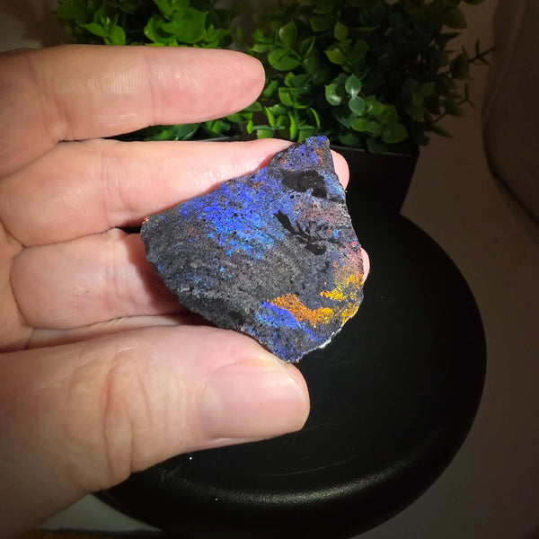 Andamooka Matrix Opal Slab Slice - 108 Carat