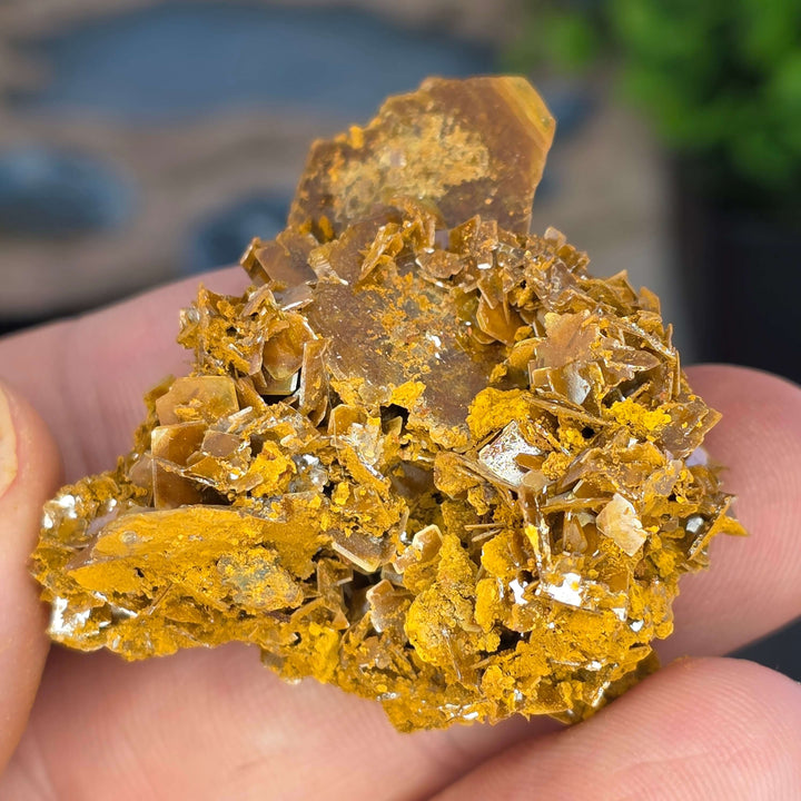 Wulfenite - Erupción-Ahumada Mine, Mexico