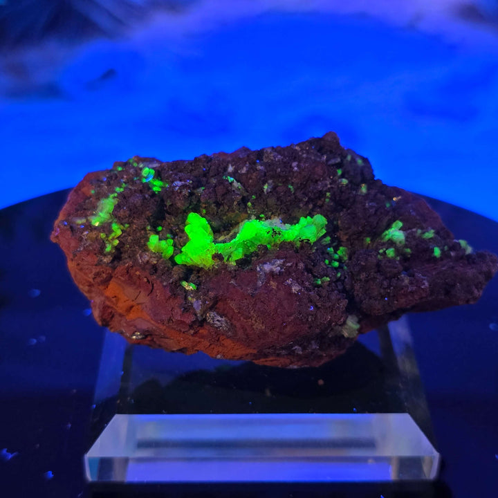 Adamite Specimen: Ojuéla Mine Collector’s Crystal showcasing sharp habit and vibrant colors on display.