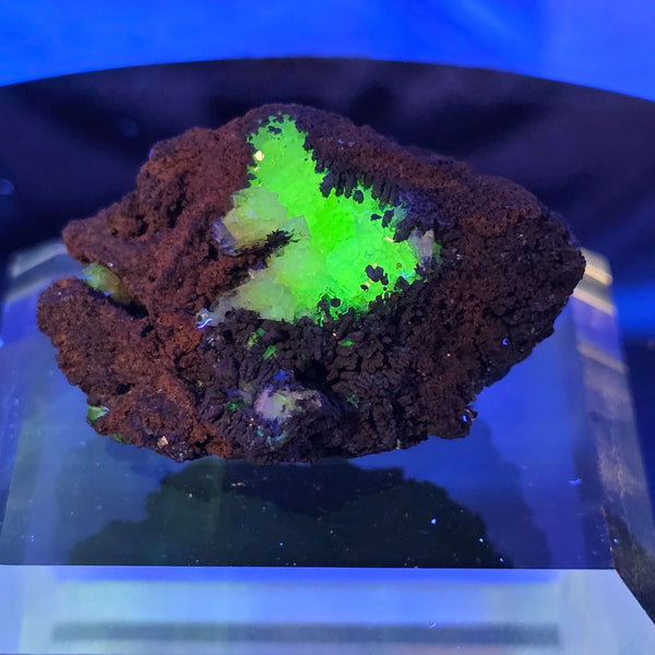 Vibrant green Adamite Specimen from Ojuéla Mine, perfect for mineral collectors.