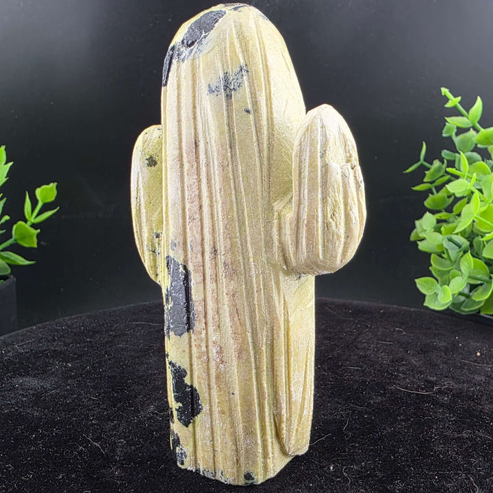 Saguaro Cactus Carving from Peru