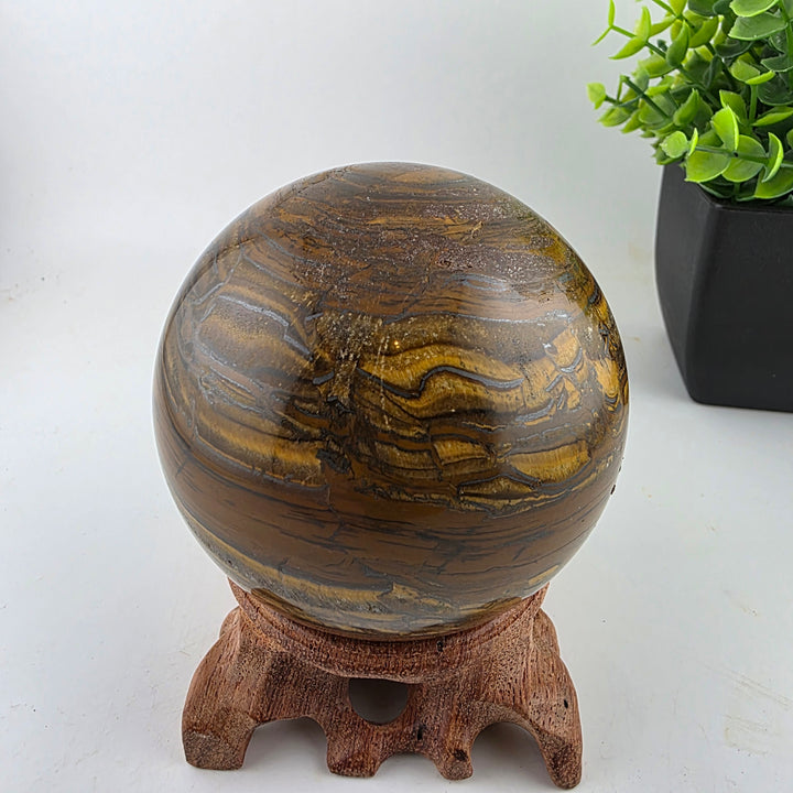 Tiger Iron Polished Sphere Ball - 3.2 Inch displayed on a wooden stand with decorative plants in the background.