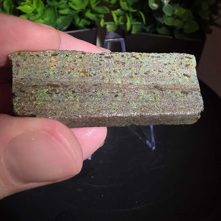 Andamooka Matrix Opal Slab Slice - 114 Carat