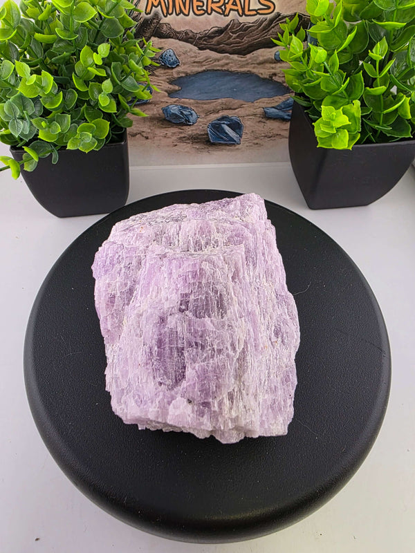 Kunzite Rough Specimen
