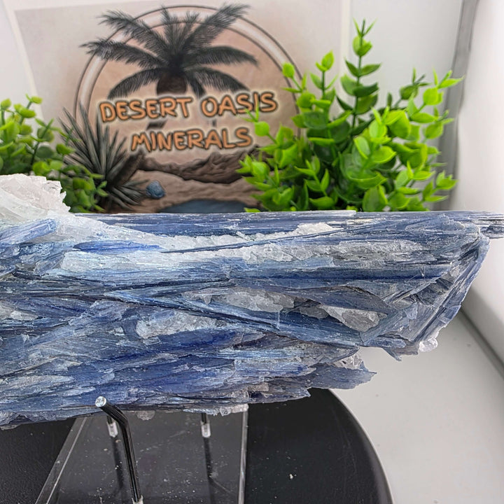 Blue Kyanite - Brazil