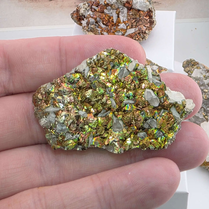 Iridescent Marcasite on Mangano Calcite