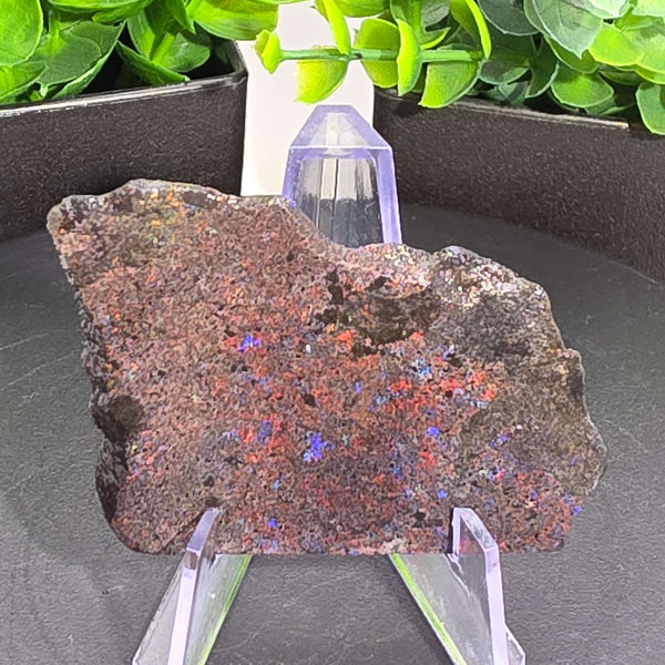 Andamooka Matrix Opal Slab Slice - 125 Carat displayed on a stand with natural colors enhanced by sugar treatment