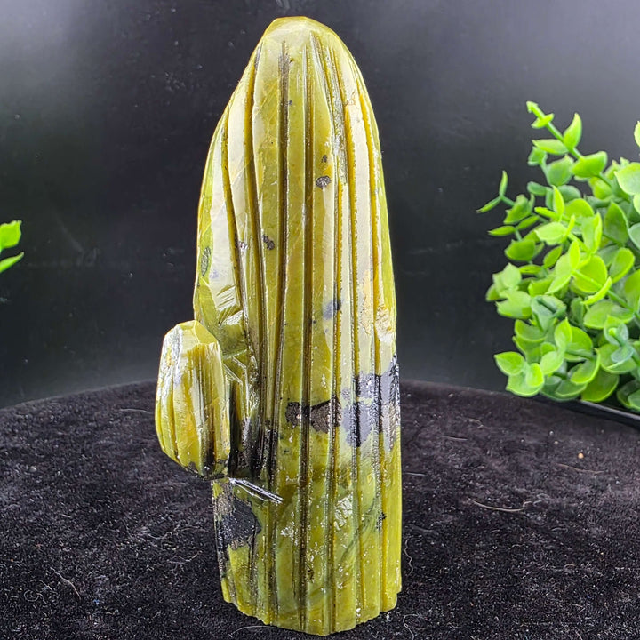 Saguaro Cactus Carving from Peru