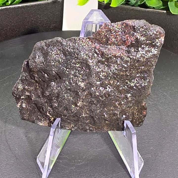 Andamooka Matrix Opal Slab Slice - 125 Carat