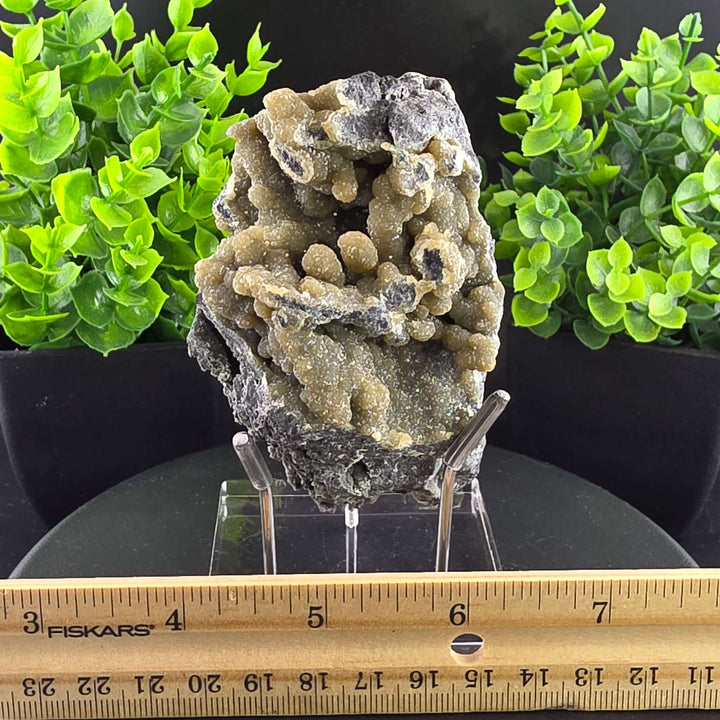 Smithsonite Specimen from Ojuela Mine