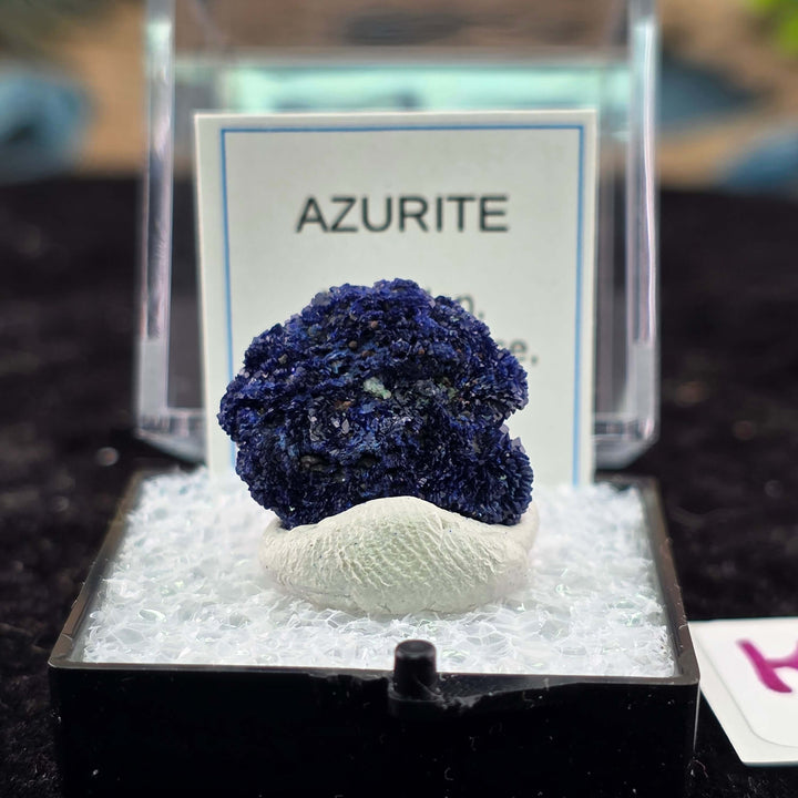 We're thrilled to offer a new selection of Azurite specimens, each mounted within an acrylic "Perky" display box for optimal protection and viewing. These exceptional pieces originate from the renowned Mibladen mining district in Morocco, an area well-kno