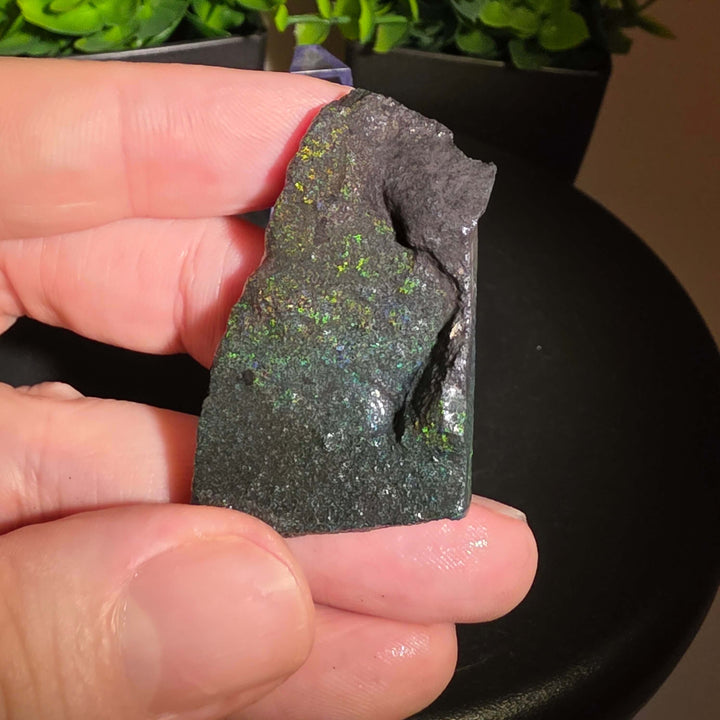 Andamooka Matrix Opal Slab Slice showcasing vibrant colors and natural matrix texture in wet condition