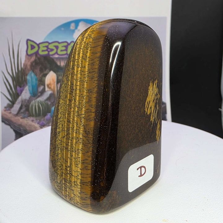 Polished Tiger's Eye freeform piece showcasing golden chatoyancy and smooth finish, ideal for decor or healing.