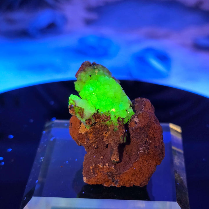Vibrant Adamite Specimen from Ojuéla Mine exhibiting glowing green crystal formations.