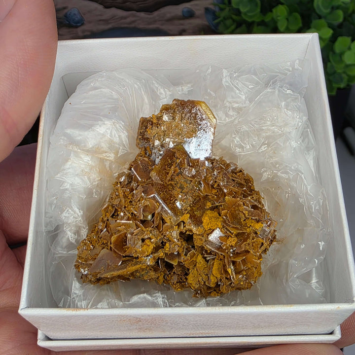 Wulfenite - Erupción-Ahumada Mine, Mexico