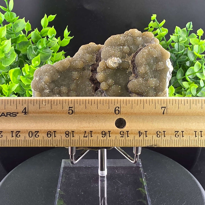 Smithsonite Specimen from Ojuela Mine